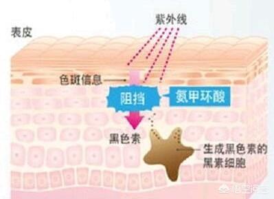 快速祛斑产品的副作用（祛斑产品的原理和副作用）-第2张图片