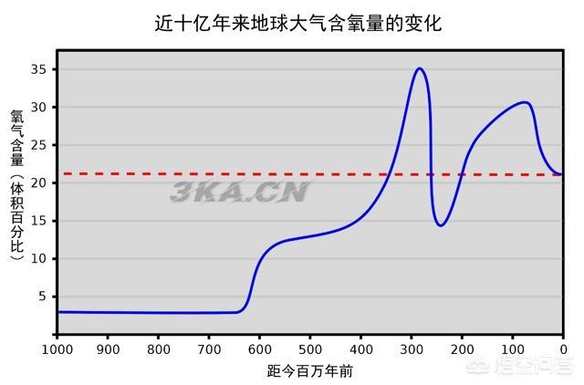 加拉帕格斯巨人蜈蚣多少元一只（加拉帕格斯巨人蜈蚣和秘鲁巨人蜈蚣）-第8张图片