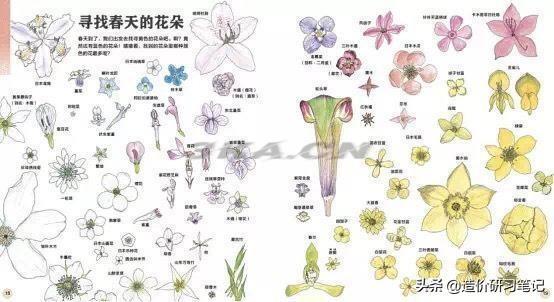 自然之宝怎么样知乎（自然之宝这个品牌怎么样）-第7张图片