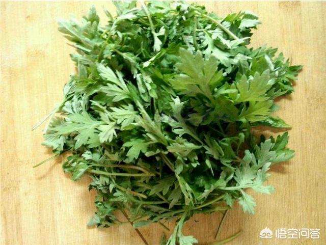 春天野菜大全图片及名称（春天能吃的野菜图片及名称）-第2张图片