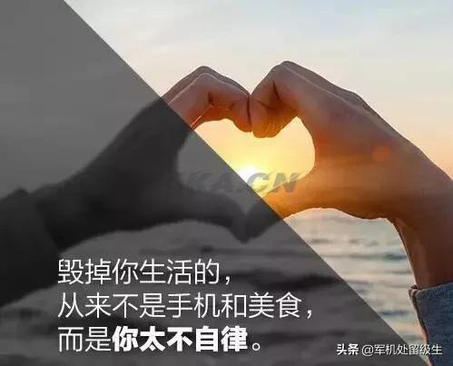 博弈是什么意思和含义（呵呵哒是什么意思含义）-第1张图片