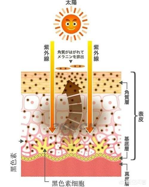 快速祛斑产品的副作用（祛斑产品的原理和副作用）-第1张图片