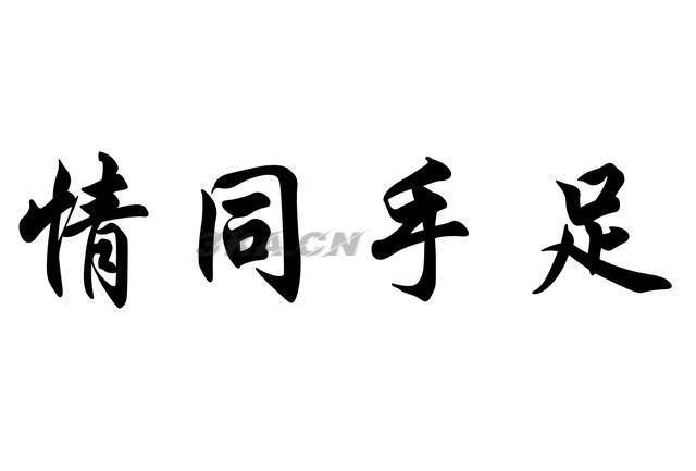 代表友谊的词语两个字（表达友谊的词语）-第3张图片