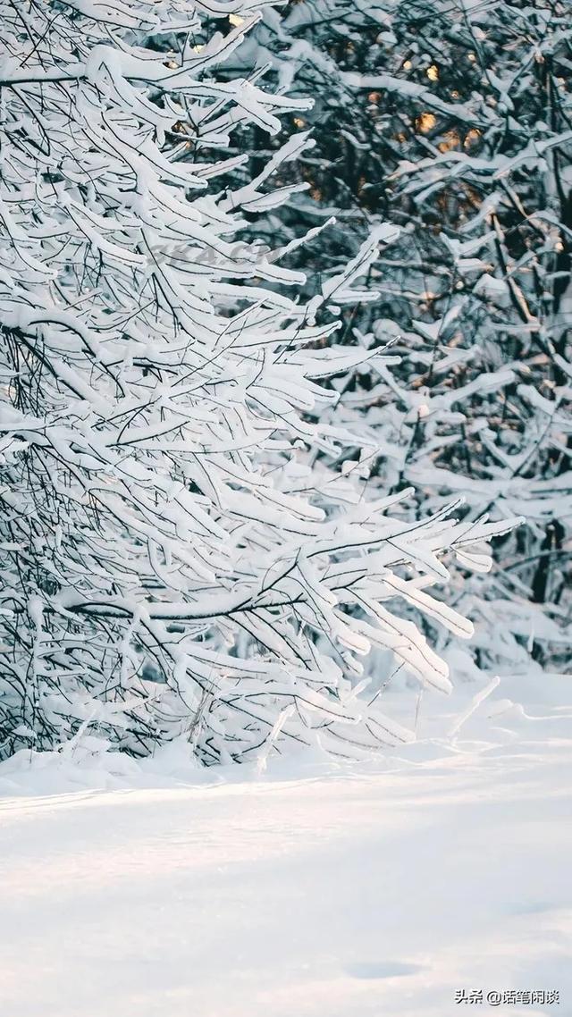 雪诗句大全唯美爱情句子（赞美雪诗句大全唯美）-第2张图片