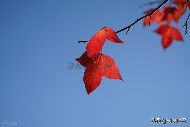 关于三峡的诗句古诗（关于三峡的古诗句子）-第1张图片