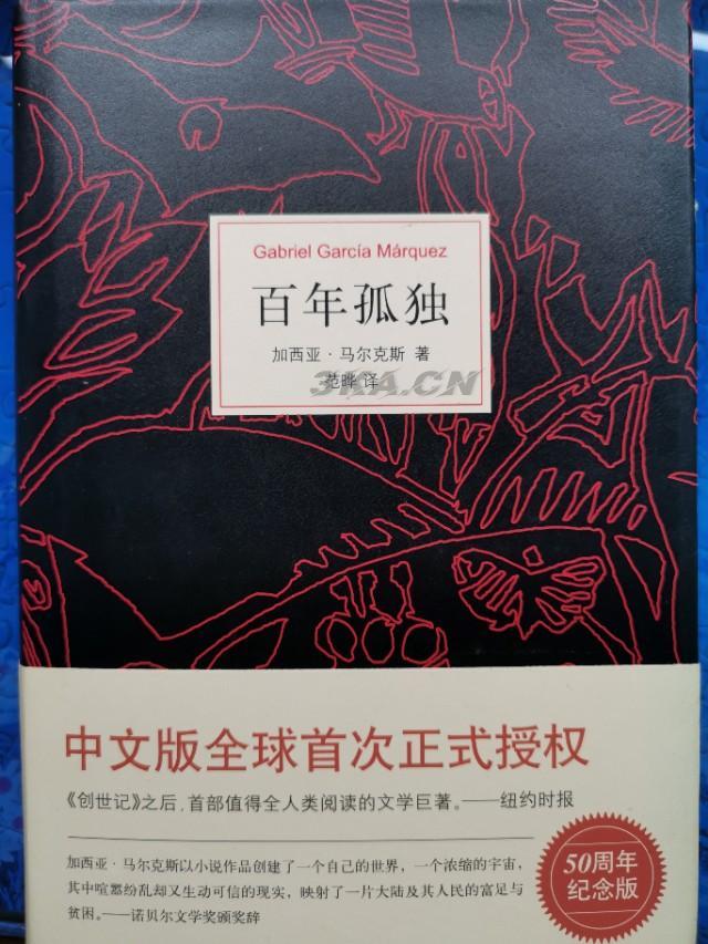 百年孤独是什么作品（百年孤独是什么风格的作品）-第2张图片