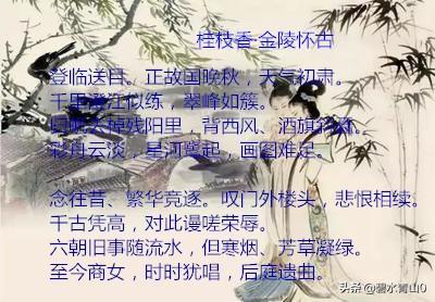 桂枝香金陵怀古赏析200字（桂枝香·金陵怀古赏析）-第3张图片