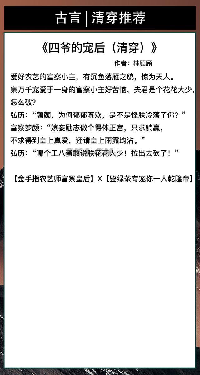 清穿文推荐四爷党（四爷党的经典清穿文）-第4张图片