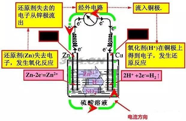 电鳗放电原理能利用吗（电鳗放电可以利用吗）-第2张图片