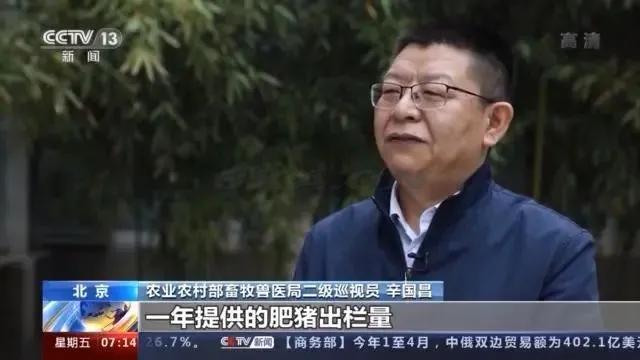 养猪场投资成本（建一个养猪场大概需要多少钱）-第1张图片