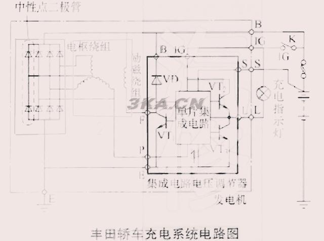 电鳗放电原理能利用吗（电鳗放电可以利用吗）-第4张图片