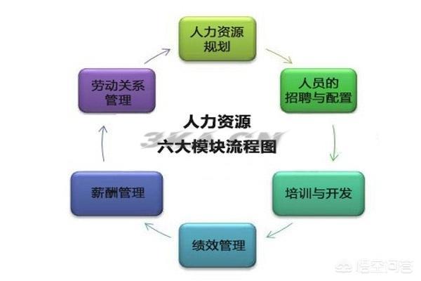 人力资源部六大模块（人力资源管理的六大模块是哪些）-第1张图片