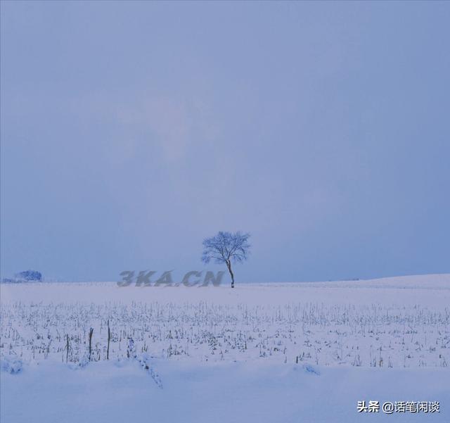 雪诗句大全唯美爱情句子（赞美雪诗句大全唯美）-第7张图片